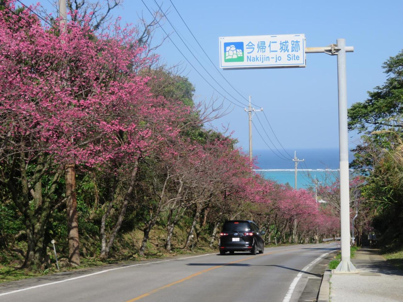 Villa Okinawa Freedom à Nakijin Extérieur photo